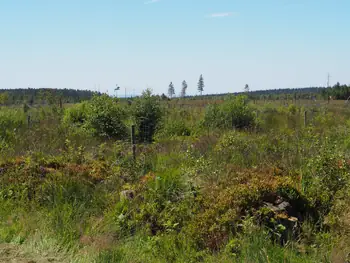 Signal de Botrange (België)